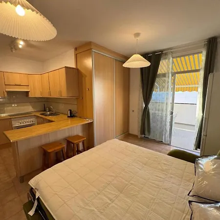 公寓 Beautiful Spectacular Terrace